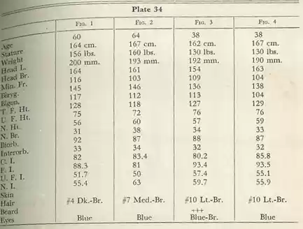 Plate 34